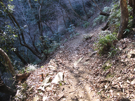 20170126hike (414)